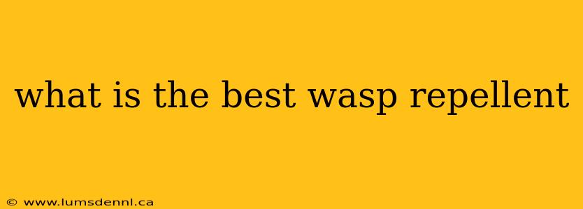 what is the best wasp repellent
