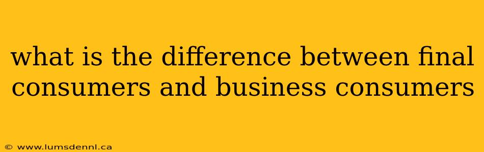 what is the difference between final consumers and business consumers