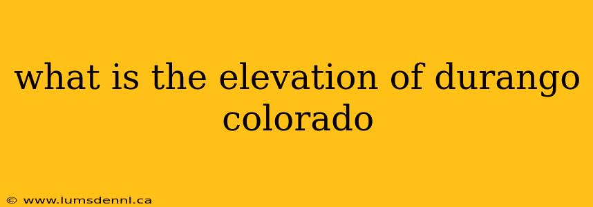 what is the elevation of durango colorado