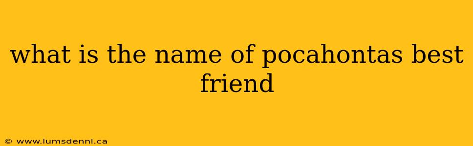 what is the name of pocahontas best friend
