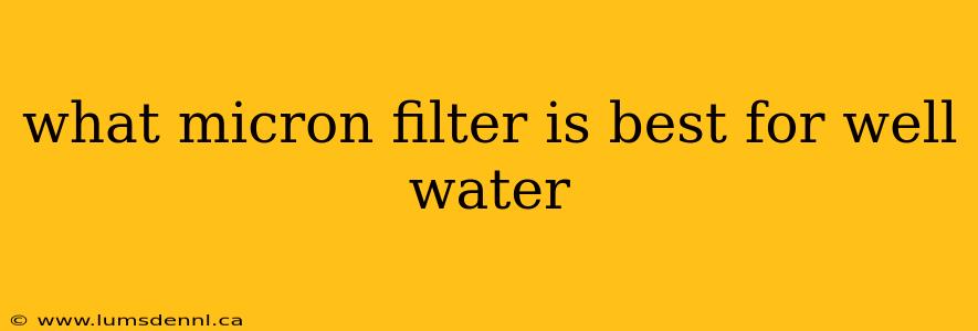what micron filter is best for well water