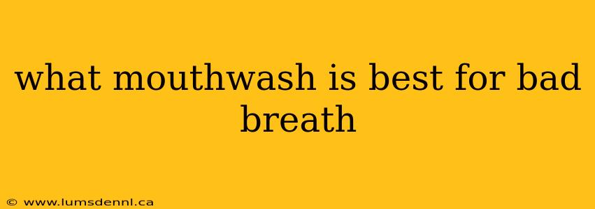 what mouthwash is best for bad breath