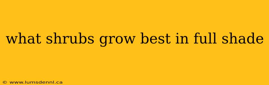 what shrubs grow best in full shade