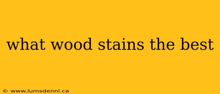 what wood stains the best