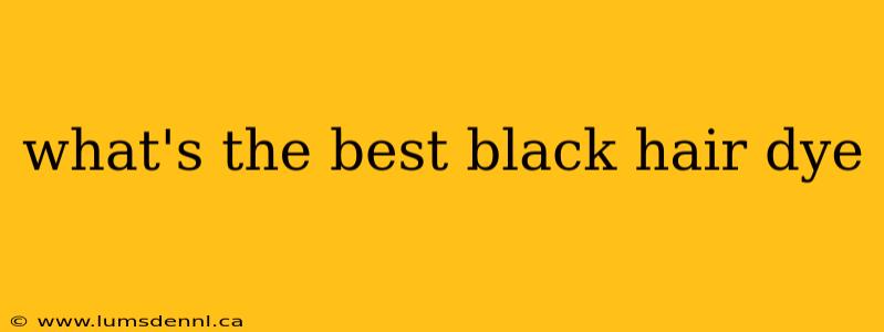 what's the best black hair dye