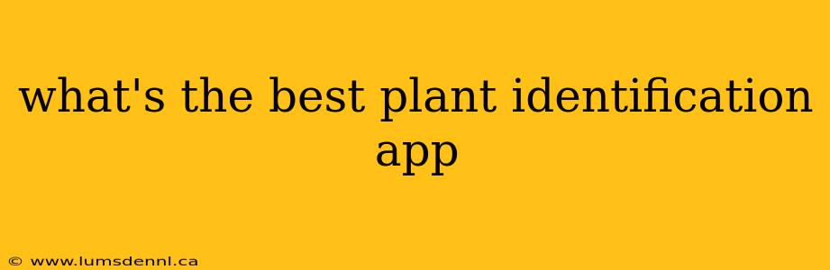 what's the best plant identification app