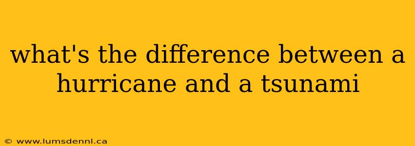 what's the difference between a hurricane and a tsunami
