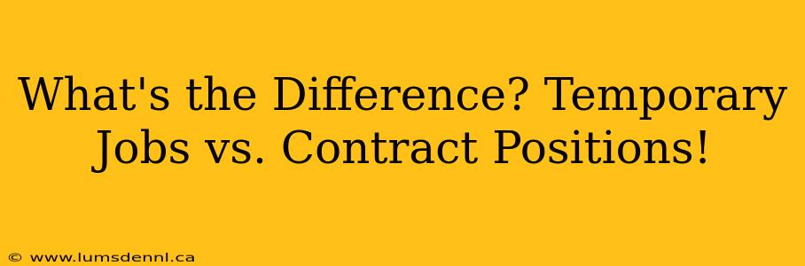 What's the Difference? Temporary Jobs vs. Contract Positions!