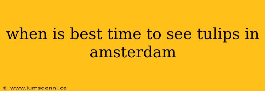 when is best time to see tulips in amsterdam