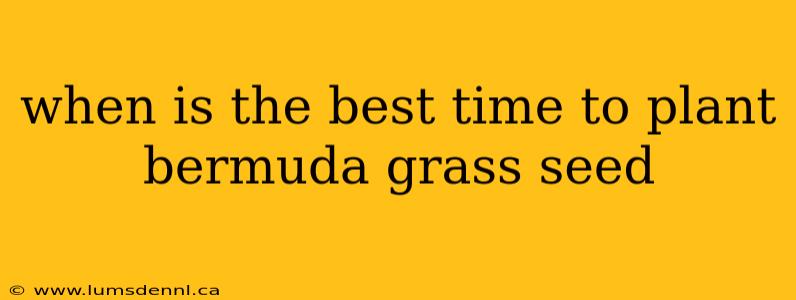 when is the best time to plant bermuda grass seed
