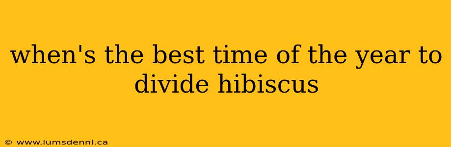 when's the best time of the year to divide hibiscus