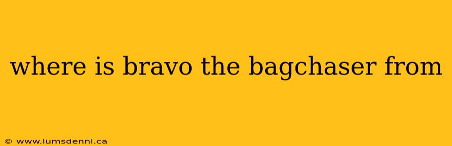where is bravo the bagchaser from