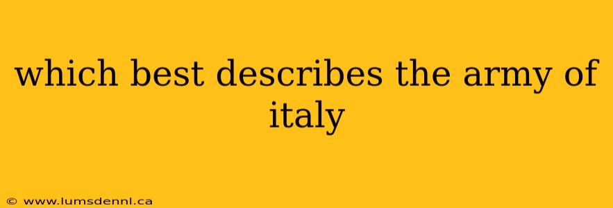 which best describes the army of italy
