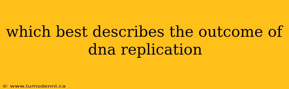 which best describes the outcome of dna replication