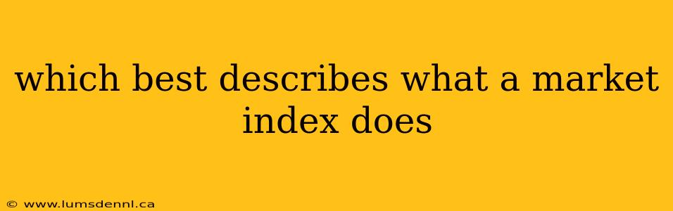 which best describes what a market index does