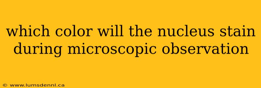 which color will the nucleus stain during microscopic observation