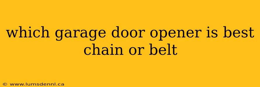 which garage door opener is best chain or belt