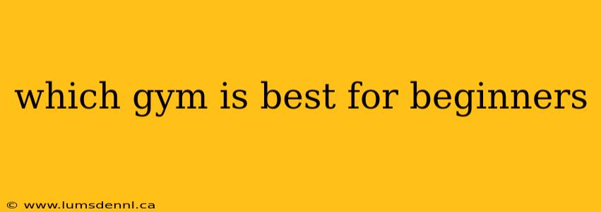 which gym is best for beginners