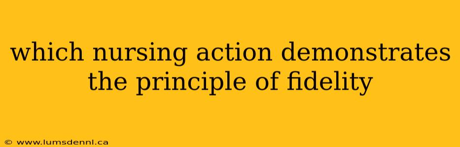 which nursing action demonstrates the principle of fidelity