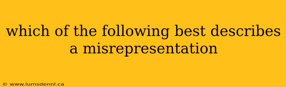 which of the following best describes a misrepresentation