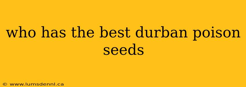who has the best durban poison seeds
