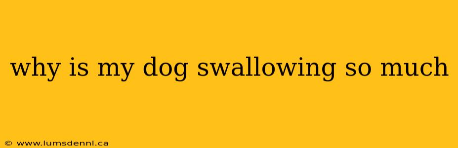 why is my dog swallowing so much