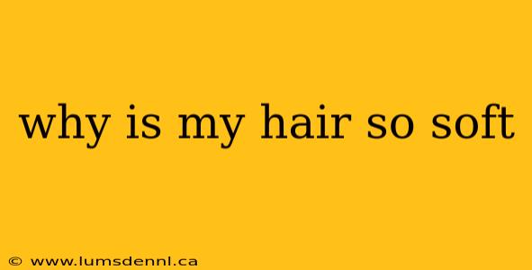 why is my hair so soft
