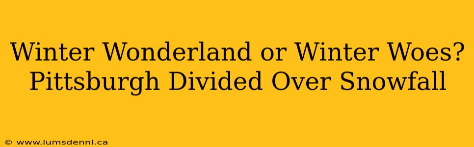 Winter Wonderland or Winter Woes? Pittsburgh Divided Over Snowfall