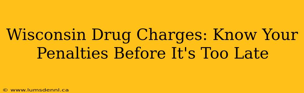 Wisconsin Drug Charges: Know Your Penalties Before It's Too Late