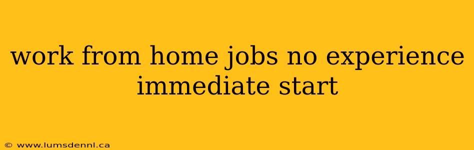 work from home jobs no experience immediate start