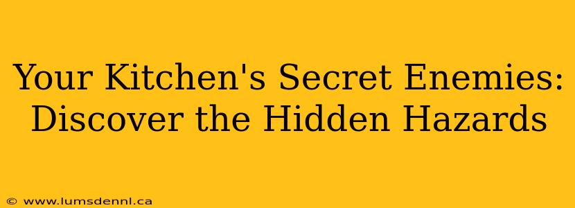 Your Kitchen's Secret Enemies:  Discover the Hidden Hazards
